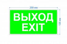 Самоклеящаяся этикетка ЭРА INFO-SSA-116 пленка бэклит Выход-exit зеленая для SSA-103 (2) (Б0057712)