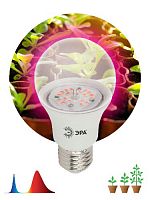 Лампа светодиодная ЭРА FITO-10W-RB-E27-K для растений красно-синего спектра 10 Вт Е27 (1/36) (Б0039069)