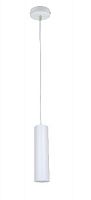 Светильник светодиодный ЭРА PL1 COB -10 WH 300 подвесной COB 10W D80*300мм белый (20/240) (Б0041507)