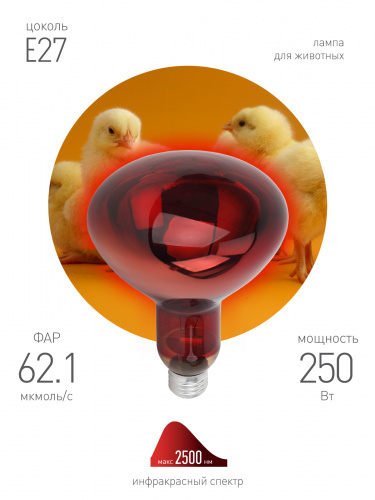 Инфракрасная лампа ЭРА ИКЗК 220-250 R127, кратность 1 шт. для обогрева животных и освещения, 250 Вт, Е27 (Б0055442) фото 3