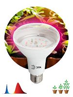 Лампа светодиодная ЭРА FITO-16W-RB-E27-K для растений красно-синего спектра 16 Вт Е27 (1/36) (Б0039072)