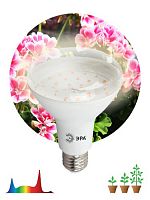Лампа светодиодная ЭРА FITO-15W-Ra90-E27 для растений полного спектра 15 Вт Е27 (1/20) (Б0039173)