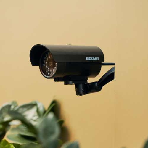 Муляж видеокамеры уличной установки RX-309 REXANT (1/60) (45-0309) фото 10