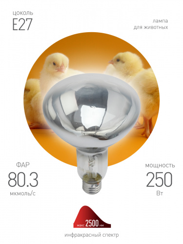 Инфракрасная лампа ЭРА ИКЗ 220-250 R127 E27, кратность 1 шт., для обогрева животных и освещения, 250 Вт, Е26 (Б0055440) фото 4