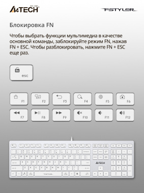 Клавиатура A4TECH Fstyler FX50 USB slim Multimedia (FX50 WHITE), белый фото 5