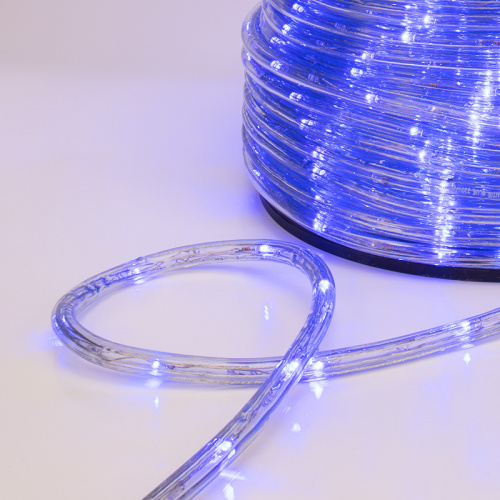 Дюралайт NEON-NIGHT LED, свечение с динамикой (3W) - синий, 24 LED/м, бухта 100м (100/100) фото 2