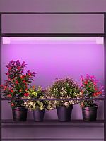 Светильник светодиодный ЭРА линейный для растений FITO-24W-RB-N красно-синего спектра 24 Вт (1/30) (Б0061425)