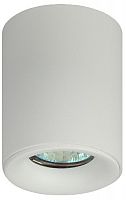 Светильник ЭРА подвесной накладной Подсветка декоративная GU10, D80*100мм, белый (50/700) OL1 GU10 WH