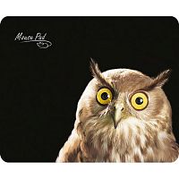 Коврик DIALOG PM-H15, черный c рисунком совы (1/10) (PM-H15 owl)