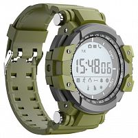 Смарт-часы Jet Sport SW3 1.2" LCD серый (SW3 GREEN)