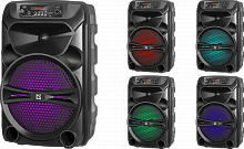 Портативная акустика DEFENDER G110 12Вт, Light/BT/FM/USB/LED/AUX (1/4)