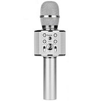 Микрофон динамический, однонаправленный HOCO, Cool sound, BK3, пластик, 100-10000Гц, -72 дБ, цвет: серебряный (1/20)