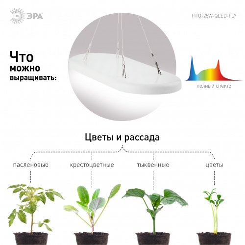 Светильник для растений ЭРА FITO-25W-QLED-FLY подвесной полного спектра 25 Вт (1/20) фото 14