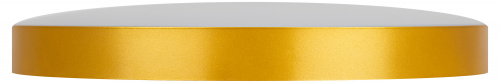 Светильник светодиодный ЭРА потолочный Relict 48 Pult SPB-6-60-RC MG с ДУ 60Вт 3000-6500К Золото (1/5) (Б0059498) фото 3