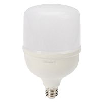 Лампа светодиодная REXANT высокомощная 50 Вт E27 с переходником на E40 4750 лм 6500 K холодный свет (1/12) (604-071)
