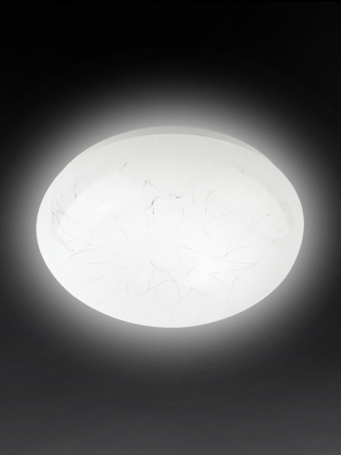 Светильник светодиодный ЭРА потолочный Классик без ДУ SPB-6 - 18 Marble светодиодный 18Вт без ДУ (1/20) (Б0051075) фото 2