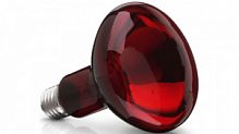 Лампа TDM накаливания R127 ИКЗК (инфракрасная зеркальная красная) 250Вт E27 220В (1/15) (SQ0343-0034)