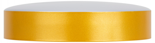 Светильник светодиодный ЭРА потолочный Relict 22 SPB-6-20 4К MG 20W 4000K Золото без ДУ (1/20) (Б0059509) фото 4