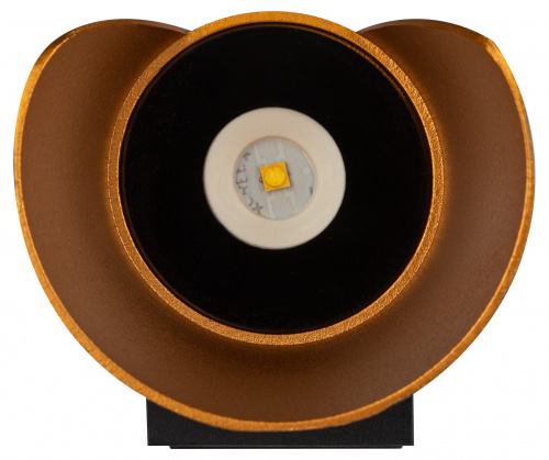 Светильник светодиодный ЭРА настенный декоративный WL42 BK+GD 10Вт 3500К черный/золото IP54 для интерьера, фасадов зданий (1/40) (Б0054420) фото 4