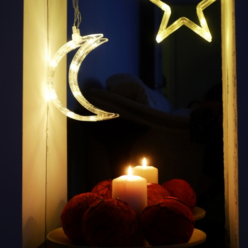 Фигура светодиодная NEON-NIGHT "Звездочка" на присоске с подвесом, цвет ТЕПЛЫЙ БЕЛЫЙ (1/12) (501-011) фото 10