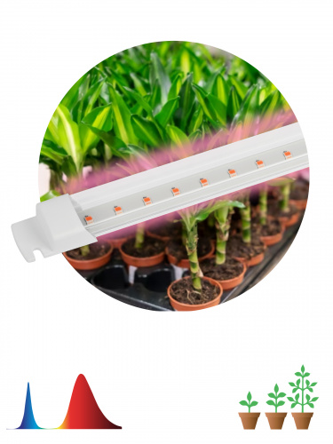 Светильник светодиодный ЭРА линейный для растений FITO-10W-Т5-RB-Slim красно-синего спектра 10 Вт Т5 (1/40) (Б0057401) фото 6