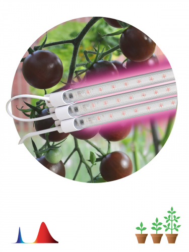 Светильник ЭРА ФИТО модульный для растений FITO-3х10W-LINE-RB90 красно-синего спектра 30 Вт (1/40)