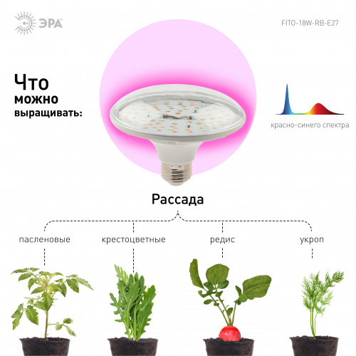 Светильник светодиодный ЭРА для растений FITO-18W-RB-E27 красно-синего спектра 18 ВТ Е27 (1/30) фото 7