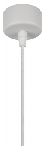 Светильник ЭРА потолочный подвесной PL18 WH/CL MR16 GU10 цилиндр белый, прозрачный (1/40) (Б0058481) фото 5