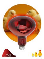 Лампа ЭРА накаливания ИКЗК ФИТО (инфракрасная зеркальная красная, для растений) 250Вт E27 220В фито-спектр 1277К (15/360)