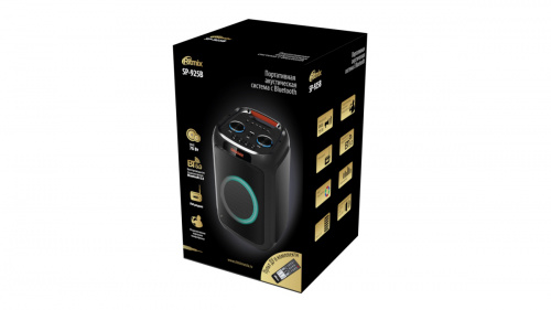 Портативная акустика напольная RITMIX SP-925B black Bluetooth-колонка, FM радио, RGB подсветка, AUX, USB, microSD, черный (1/2) (80002734) фото 2