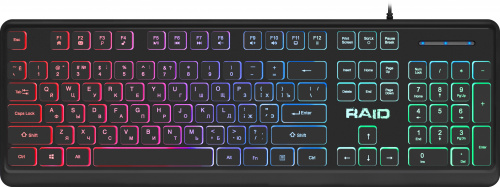 Клавиатура игровая DEFENDER Raid GK-778DL RU, Rainbow,104 кнопки, черный (1/20) (45778) фото 2