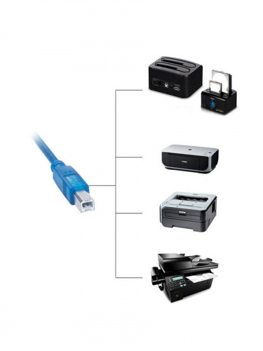 Кабель соединительный USB3.0 Am/Bm 1,8m  Telecom  (TUS7070-1.8M) (1/75) фото 7