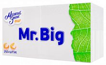 Салфетки бумажные Мягкий знак Mr. Big 250лист. белый (C58)
