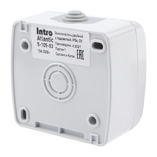 Выключатель INTRO Atlantic 5-105-03 двойной с подсветкой, 10А-250В, IP54, открытой установки, серый фото 2