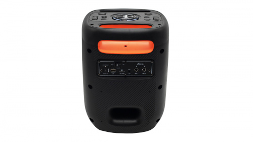 Портативная акустическая система RITMIX SP-905B black, TWS-режим, Bluetooth, USB, microSD, AUX, FM-радио, Мощность: 50 w, Bluetooth v5.0, черный (1/4) (80003277) фото 3