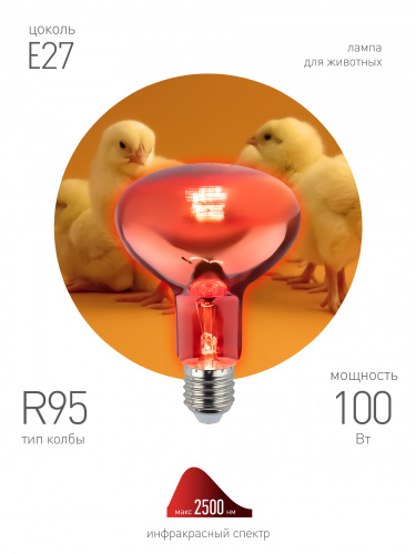 Лампа ЭРА накаливания ИКЗК 230-100 R95 E27 кратность 1 шт для обогрева животных и освещения 100 Вт (1) (Б0062411) фото 5