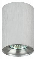 Светильник ЭРА подвесной накладной Подсветка декоративная GU10, D80*100мм, серебро/ хром (50/700) OL1 GU10 SL/CH