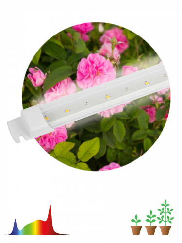Светильник светодиодный ЭРА линейный для растений FITO-10W-Т5-Ra90-Slim полного спектра 10 Вт Т5 (1/40) (Б0057400) фото 7