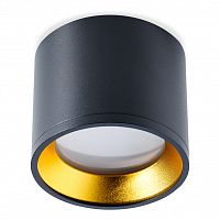 Светильник SMARTBUY TS2005 96x80 мм накладной под лампу GX53, черный-золото (SBL-TS2005-GX53-bg) (1/50)