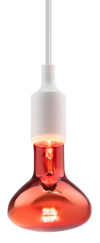Лампа ЭРА накаливания ИКЗК 230-100 R95 E27 кратность 1 шт для обогрева животных и освещения 100 Вт (1) (Б0062411) фото 3