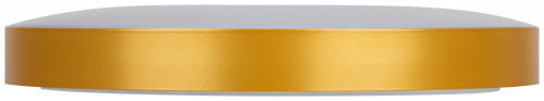 Светильник светодиодный ЭРА потолочный Relict 38 SPB-6-40 4К MG 40W 4000K Золото без ДУ (1/10) (Б0059506) фото 4