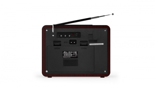 Радиоприёмник RITMIX RPR-089 REDWOOD  (ФМ/АМ/СВ),BT,вх. AUX,2 дин.,mp3,воспр.micro SD/USB,вст. аккум,телеск. Аннтен,пит. АС220В,50Гц/бат.(1/8) (80002007) фото 5