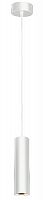 Светильник ЭРА подвесной Подсветка декоративная GU10, D80*300мм, белый (20/240) PL1 GU10 WH 300