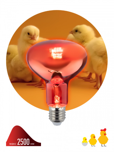 Лампа ЭРА накаливания ИКЗК 230-100 R95 E27 кратность 1 шт для обогрева животных и освещения 100 Вт (1) (Б0062411) фото 4