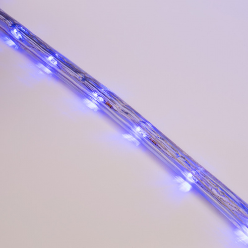 Дюралайт NEON-NIGHT LED, свечение с динамикой (3W) - синий, 24 LED/м, бухта 100м (100/100) фото 4