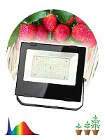 Светильник светодиодный ЭРА для цветения и плодоношения (10/200)FITO-100W-Ra90-LED