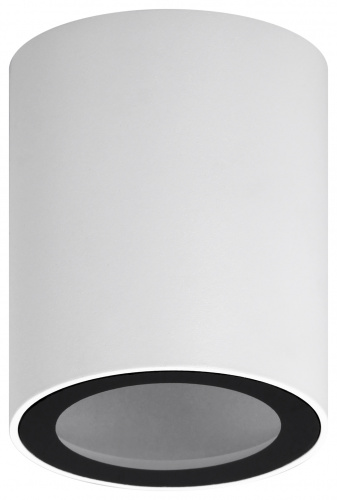 Светильник ЭРА накладной настенно-потолочный спот OL48 WH/BK MR16 GU10 IP44 черный, белый (1/50) (Б0059799) фото 2