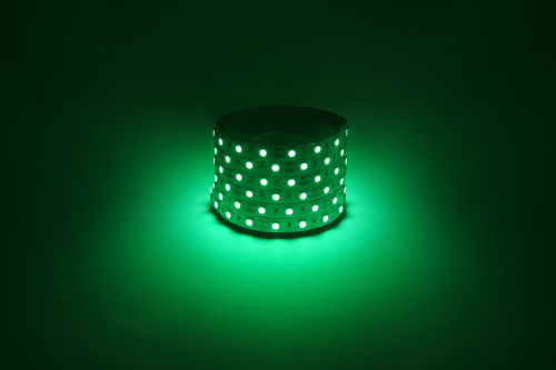 Лента светодиодная ЭРА LS5050 -14,4-60-12-G-IP20-1 year-5m зеленый 5м (1/100) (Б0059920) фото 2