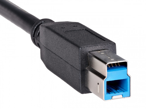 Кабель соединительный USB3.0 Am/Bm 3m Telecom  (TUS710-3M) (1/70) фото 6