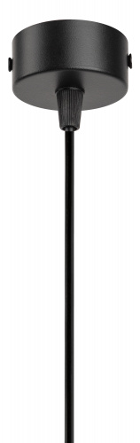Светильник ЭРА потолочный подвесной PL19 BK MR16 GU10 цилиндр черный (1/40) (Б0058492) фото 6